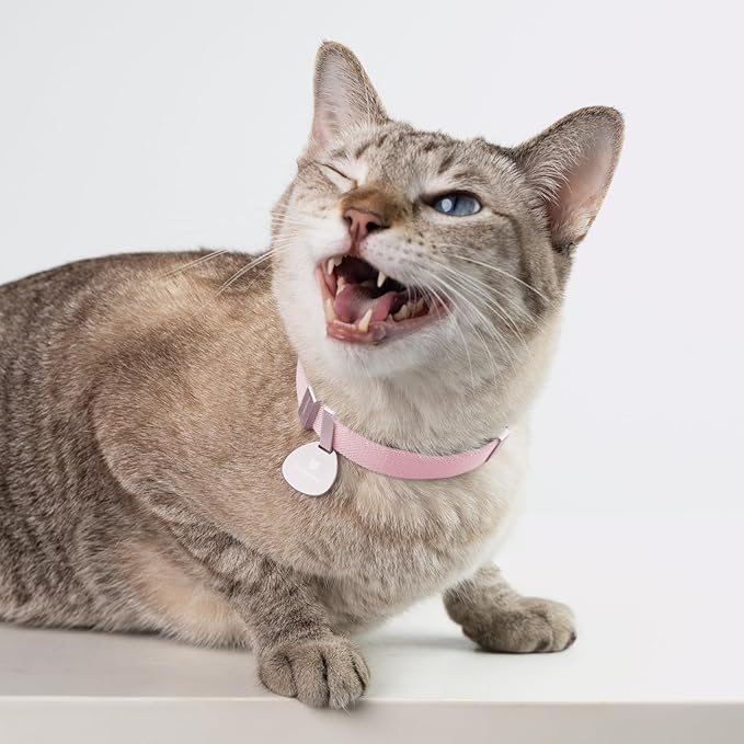 Safety Cat Collar Pro - U.S. IDA Gold Awarding Design, Elastic Quick Release Cat Collar with Buckle Non Breakaway - Lightweight for Kitten All Small Large Cats (Sierra Blue, M 7.9-15.7")