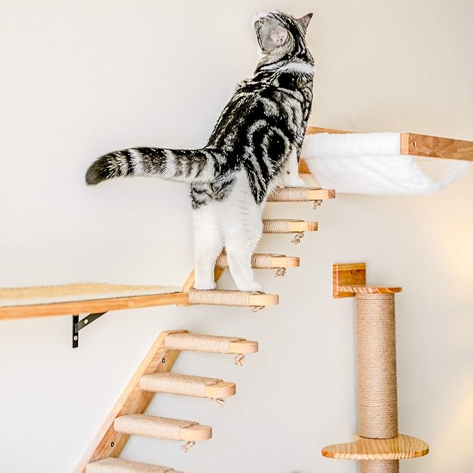 FUKUMARU Cat Wall Furniture, 3 Pack Cats Walls Shelves Set, Solid Rubber Wood Kitten Shelf for Sleeping, Playing, Climbing and Lounging