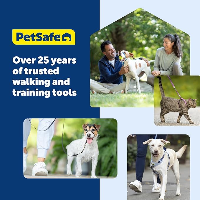 PetSafe Gentle Leader Headcollar No-Pull Dog Collar - Helps Improve Walks - Durable Nylon Construction - Padded Nose Loop - Adjustable Fit - Comfort Walking Halter - Medium, Royal Blue