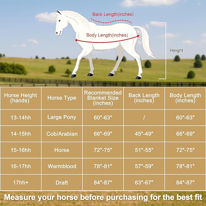Horse Fleece Cooler, Blanket Liner - 300g Anti-Pilling Fleece, Moisture-Wicking, Cooling & Drying for Post-Workout, Bath & Travel, Prevent Overheating & Chilling Mintgreen 72