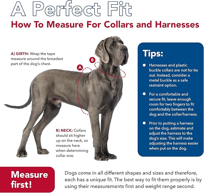 Coastal Pet SecureAway Collar Protector for Flea Collars - Adjustable pet Accessory - Protective Flea Collar for Dogs & Puppy - Multi Bones, 5/8" x 10-14"