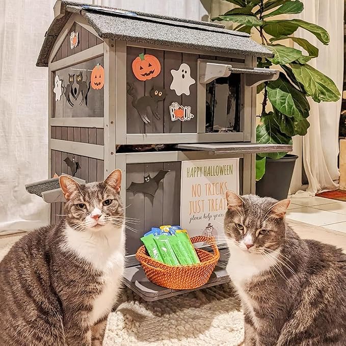 Aivituvin Outdoor Heated Cat House Two Story Feral Cat Shelter Weatherproof Cat Enclosure for Winter Kitty Condo with Escape Doors