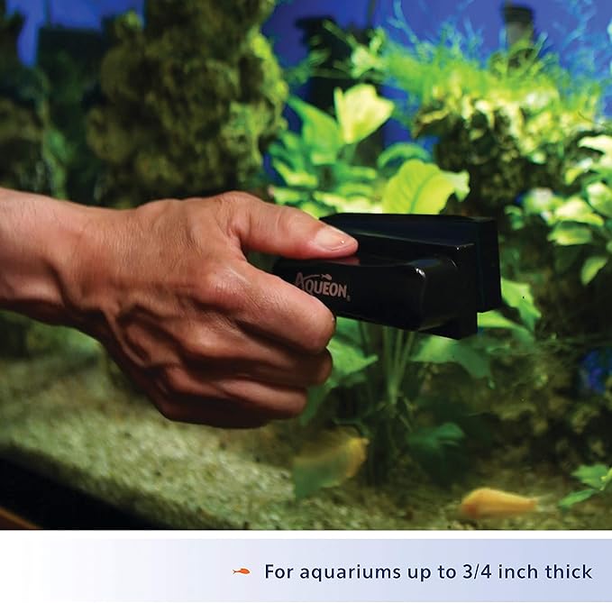 Aqueon Aquarium Algae Scraper, Fish Tank Cleaning Magnets for Glass/Acrylic, Large