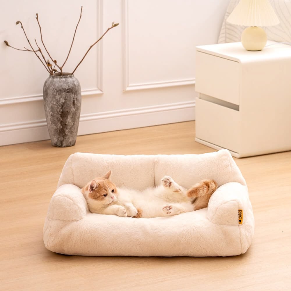 Pet Beds & Furniture