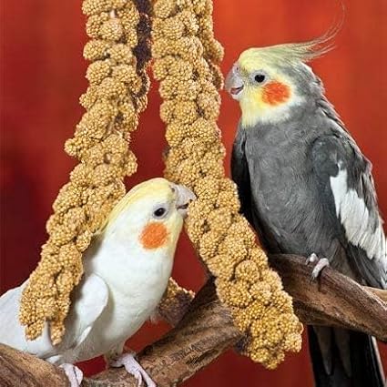 Nemeth Farms- GMO-Free Sun Dried Spray Millet | (No Stems Only Edible Tops) The Original Bird Treat and Supplement for All Pet Birds Parakeets, Cockatiels, Lovebirds and Finches 25lbs
