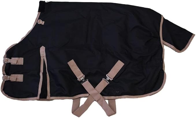 AJ Tack 1200D Waterproof Winter Pony Blanket - 300g Heavyweight Turnout with Fleece Collar, Shoulder Gussets & Tail Flap - Turquoise 56"