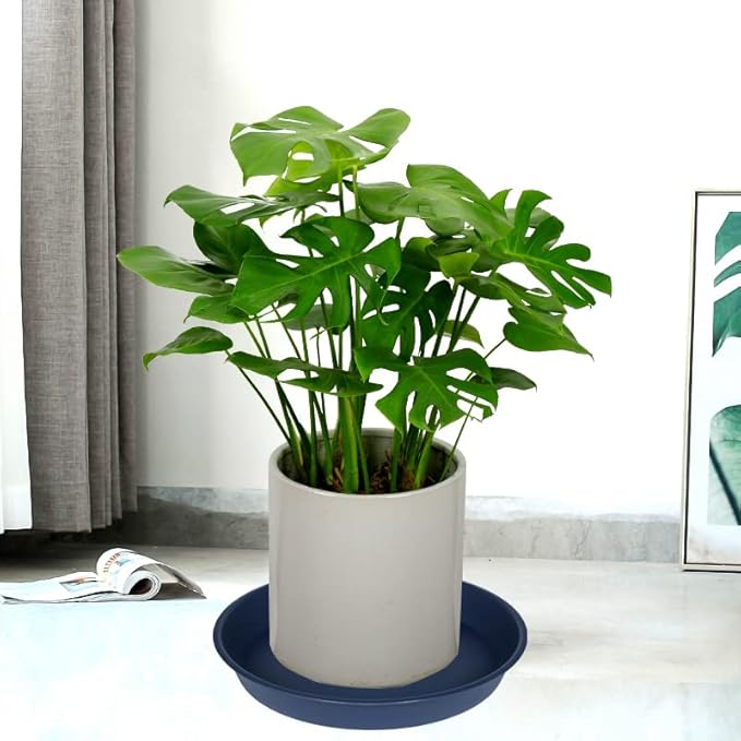 2 Pack of 14 inch Plant Saucers Bird Bath Bow Round, Plastic Plant Saucer Tray for Pots, White Planters for Indoor Plants, Plant Trays for Planter 12-15" (14", Blue)