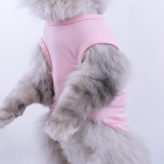 Custom Dog Birthday Shirt,Personalized Pet Apparel Print with Name Age Number,Pet Birthday Outfit,Lightweight Breathable Cotton Vest for Small Medium Large Dogs Cat (White + Black Border, XX-Large)
