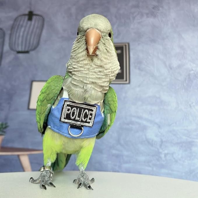 Bird Flight Harness Vest, Parrot Flight Suit with Leash, Bird Flying Clothes with Rope and Handle for Outdoor Activities (Without Leash,Cockatiel)