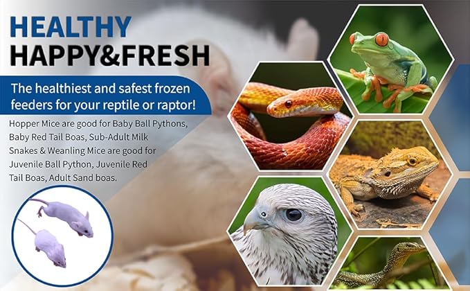 MiceDirect EST. 2003 50 Frozen Mice Combo Pack of 25 Hoppers and Weanling Feeders Snake Food for Mice for Juvenile Ball Python Adult Milk Corn Snakes (1.5-2.5 in)(500 Grams Min)