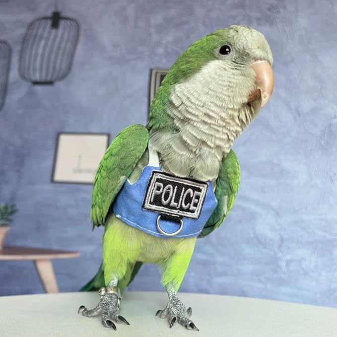 Bird Flight Harness Vest, Parrot Flight Suit with Leash, Bird Flying Clothes with Rope and Handle for Outdoor Activities (Without Leash,Crested Myna)