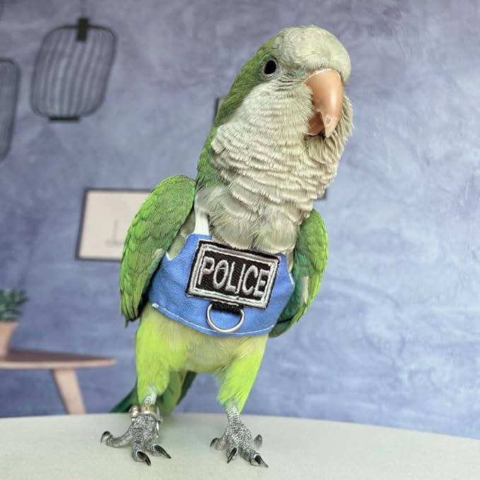 Bird Flight Harness Vest, Parrot Flight Suit with Leash, Bird Flying Clothes with Rope and Handle for Outdoor Activities (with Leash,Blue Quaker)