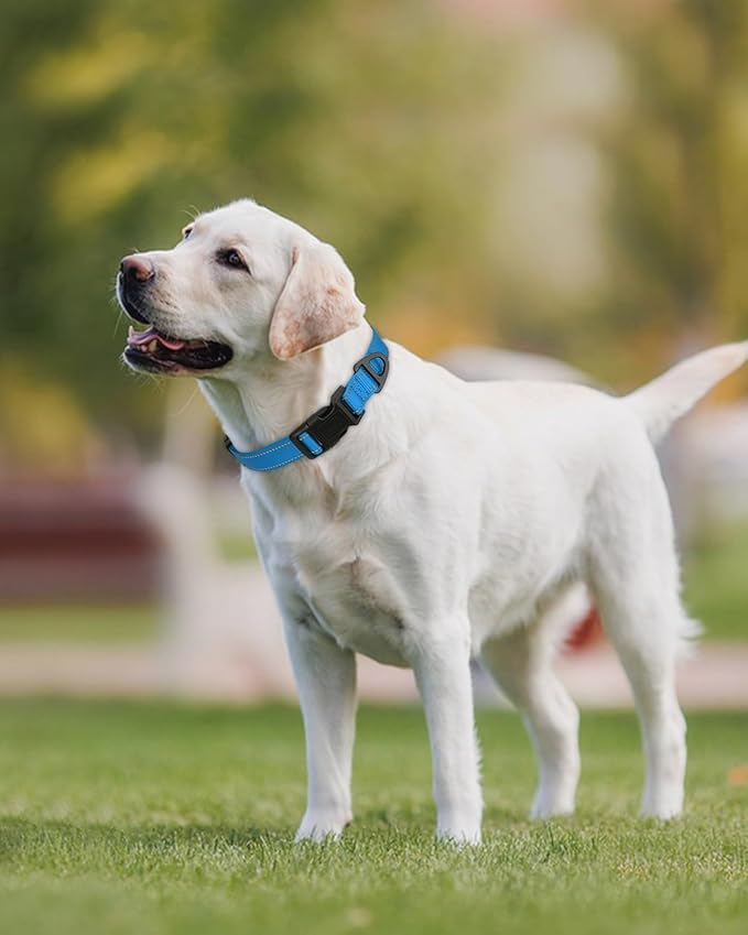 Joytale Large Dog Collar, Reflective and Adjustable Nylon Pet Collar with Quick-Release Buckle for Large Dogs, Sky Blue, L
