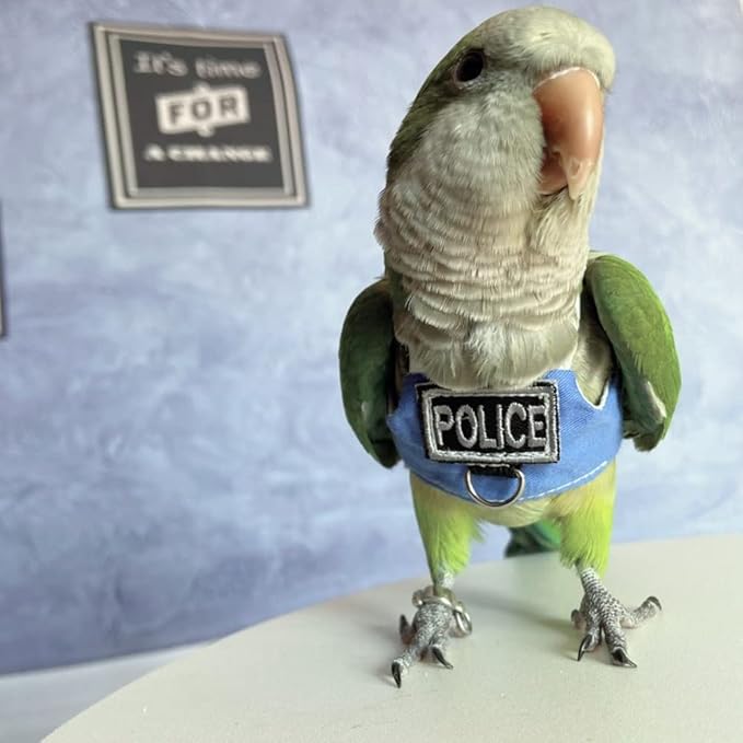 Bird Flight Harness Vest, Parrot Flight Suit with Leash, Bird Flying Clothes with Rope and Handle for Outdoor Activities (Without Leash,Green-cheeked Conure)