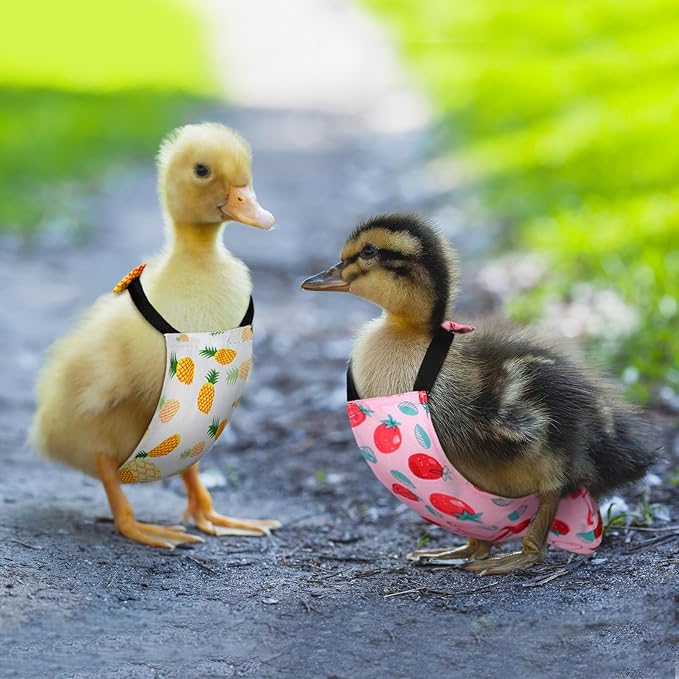 6 Pcs Chicken Diapers for Hens Rooster Ducks Reusable Washable Duck Diapers with Bow Tie for Ducklings Hens Goose Poultry Adjustable Clothes for Hen Rooster Chicken(Classic,M)