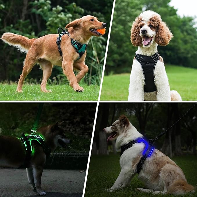 Taglory Light Up Dog Harness, Rechargeable No Pull Dog Vest with 3 Lightning Modes, Reflective Dog Harness with 2 Leash Clips & 4 Adjustable Slide Strips for Small Dogs, Black-Purple, S