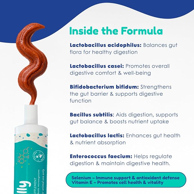 Prebiotic & Probiotic Dog Probiotic Paste, 6 Strains of Bacteria,18 Bi CFU's + Vitamins, Minerals- Upgraded Formula for Fast Balance GI, Dogs Probiotic Paste (14 g)