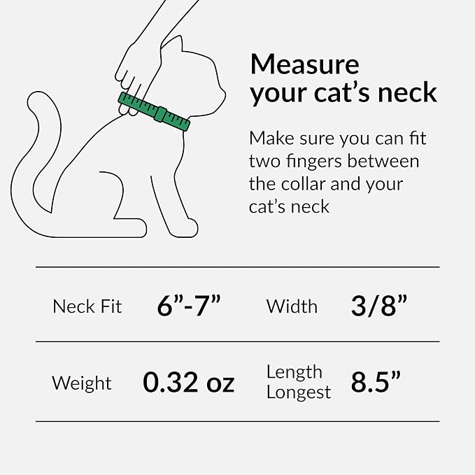 CollarDirect Leather Cat Collar with Bell - Kitten Collar, Small and Big Cat Strap for Boy Cats, Girl Cats with Safety Elastic Strap (Neck Fit 6"-7", Orange)