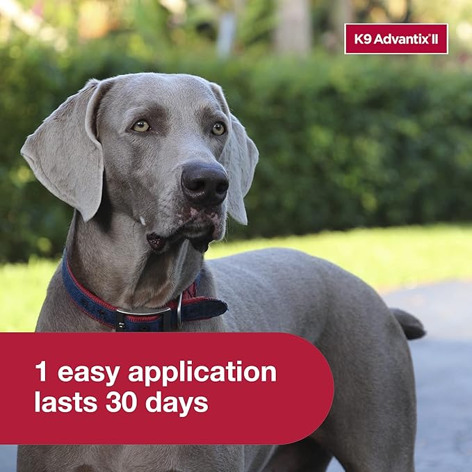 K9 Advantix II XL Dog Vet-Recommended Flea, Tick & Mosquito Treatment & Prevention | Dogs Over 55 lbs. | 6-Mo Supply (Pack of 2)