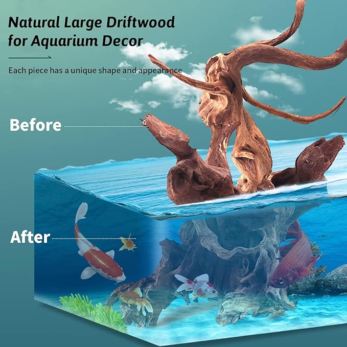 Hamiledyi 2 Pcs Large Driftwood for Aquarium 8-18 Inch Driftwood Branches Reptiles Aquarium Decoration Assorted Size Natural Habitat Decor Wood for Lizad