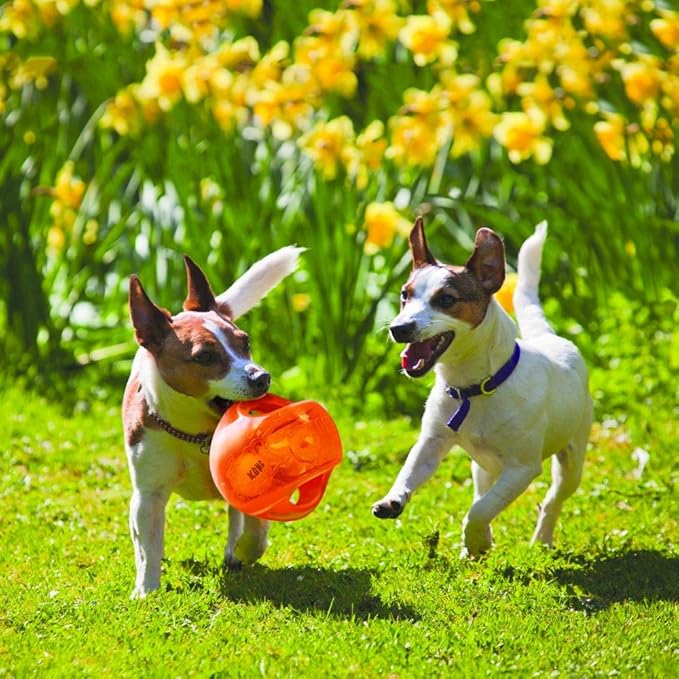 KONG Jumbler Ball - Interactive Toy for Dog & Puppy Playtime - Fetch Toy with Tennis Ball - Dog Supplies for Engaging Play - for Medium/Large Dogs - Assorted Colors
