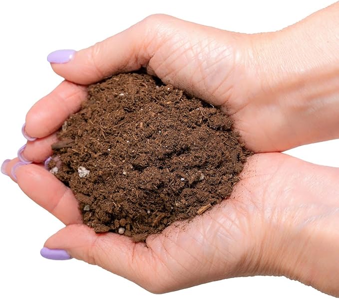 Gardenera Premium Monstera Potting Soil - Quick Drain Potting Soil for Growing and Repotting Monstera Deliciosa/Swiss Cheese Plant - 2 Quart Bag