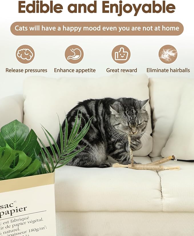 Tocirelo Silvervine Sticks Cat Toys - 6Pack Natural Cat Chew Toy Teeth Cleaning, Matatabi Dental Care Kitten Treat, Catnip Cat Teething Toys, Catmint Silver Vine Sticks for Bored Indoor Kitty