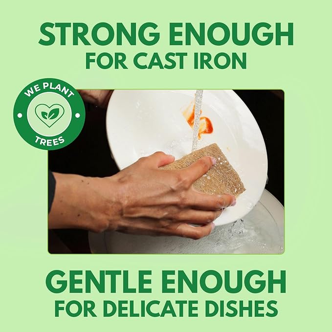 Natural Kitchen Sponges Pack of 18 - Biodegradable Cellulose and Coconut Husk Walnut Scrubbers - Odor Free Non Scratch - Eco Friendly Quick Drying Dishwashing Sponges