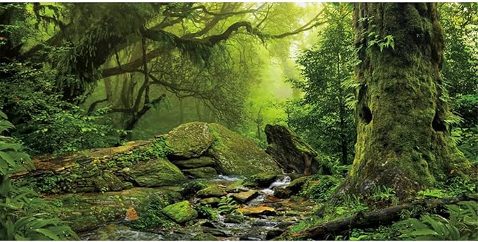 AWERT Tropical Forest Terrarium Background Stream Green Huge Tree Reptile Habitat Background Foggy Rainforest Aquarium Background 60x24 inches Durable Polyester Background