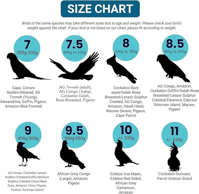 Bev's Bird Boutique Regular Flyper Adjustable Bird Diaper | Reusable, Washable Cloth | Comfort Fit for Parrot, Cockatiels, & Other Small Birds | Fashionable Avian Accessories, Pirate, Size 7.5