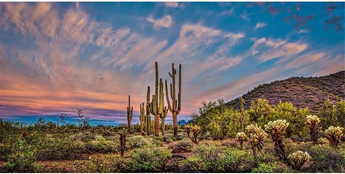 AWERT 30x18 inches Terrarium Background Blue Sky Cloud Huge Cactus Oasis Gobi Reptile Habitat Background Vinyl