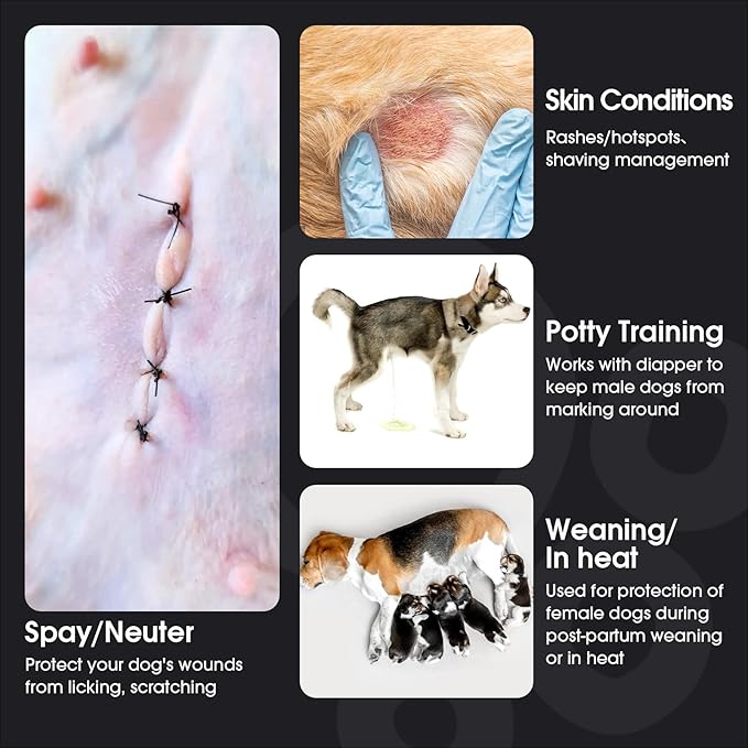 FUAMEY Dog Recovery Suit Male,Dogs Surgery Neuter Suits Puppy Spay Shirts for Female Protect Dog's Skin Anti Licking Abdominal Wounds Doggie Onesie Pet Bodysuit Alternative to Cone Rabbit Flower XXL