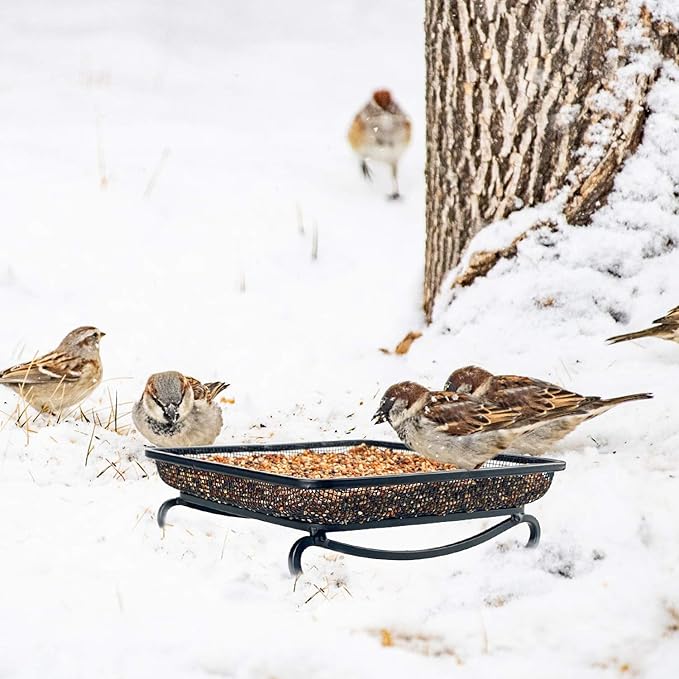 MIXXIDEA Ground Platform Bird Feeder Metal Seed Tray for Outside Garden Wild Bird Feeders with Drainage Holes Great Attracting for Birds and Squirrels, Wonderful Decoration for Backyard – Pack of 2