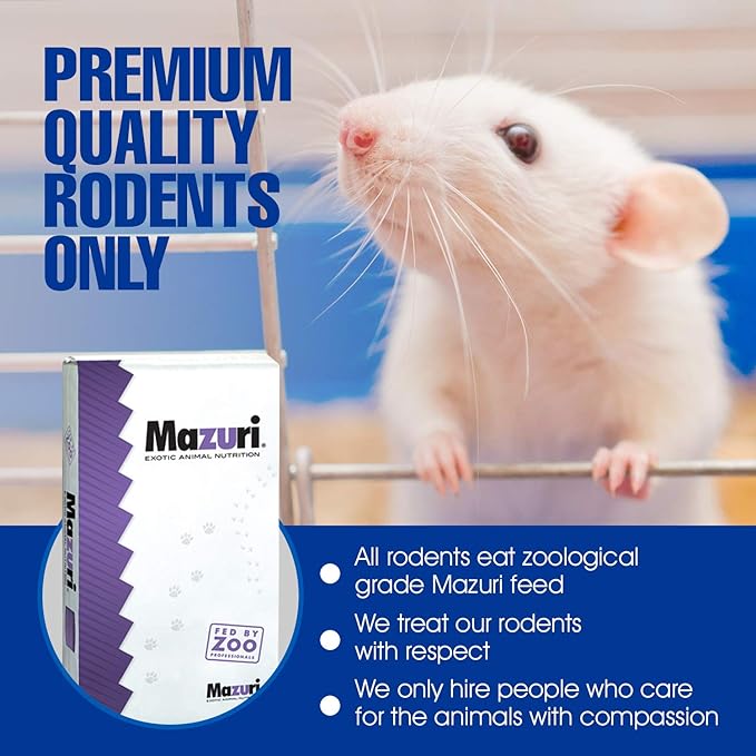 MiceDirect EST. 2003 50 Frozen Mice Combo Pack of 25 Weanlings and 25 Small Adult Feeders Snake Food for Adult Sand Boa Corn Milk Snakes (2-3 in)(800 Grams Min)