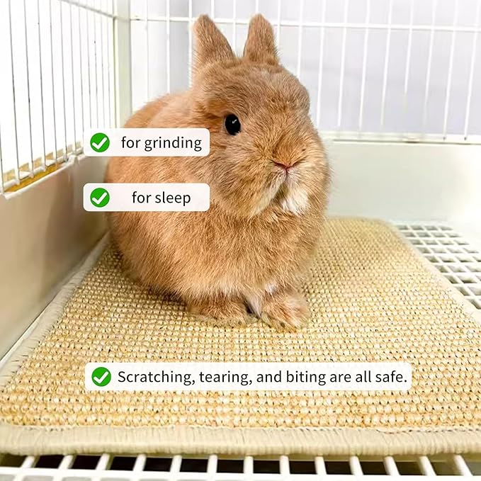 Oncpcare Rabbit Scratch Mat - Natural Bunny Scratching Pad for Claws and Teeth Care, Chew Toys, Pet Cage Bedding for Biting, Sleeping, Nesting - 24x16