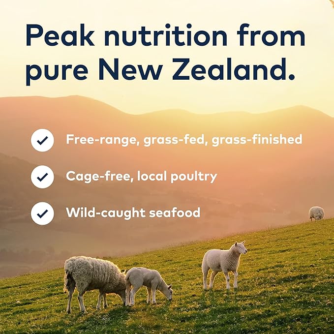 ZIWI Peak Air-Dried Cat Food – Chicken - All Natural, High Protein, Grain Free, Limited Ingredient w/ Superfoods (14oz)