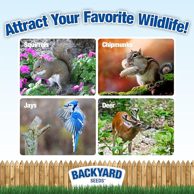 CountryMax Backyard Seeds Squirrel and Friends Wildlife Feed – 20 lb Non-GMO Mix for Squirrels, Deer, Birds, Rabbits, Chipmunks & More – All-Natural Backyard Animal Food
