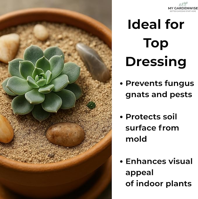 Fine Sand for Plants – Horticultural Sand for Succulents, Cactus, Potting Mixes, Terrariums & Decorative Indoor Gardens, Made in USA (3 quarts - 8.4 lbs)