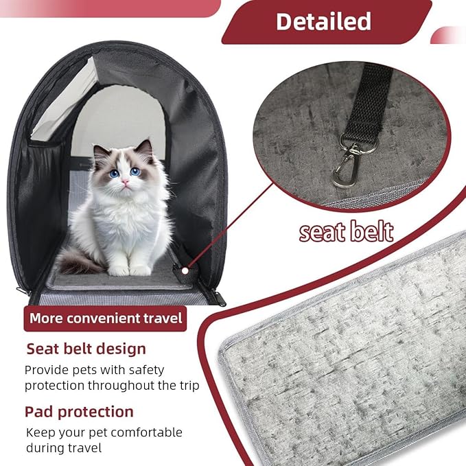 Stripe Rainbow Transparent Pet Carrier for Travel Hiking for Kitty Small Dog