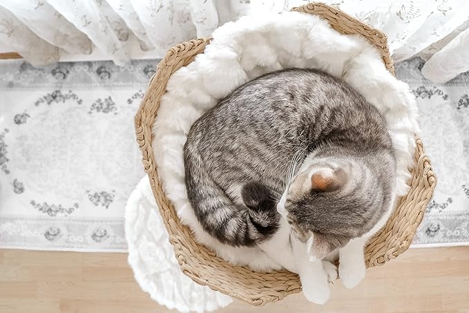 Wooden Cat Climbing Tree Tower, Modern Single Branch Cat Condo, Wood, Cat Lover Furniture Gift by MAU LIFESTYLE (Alpine White)