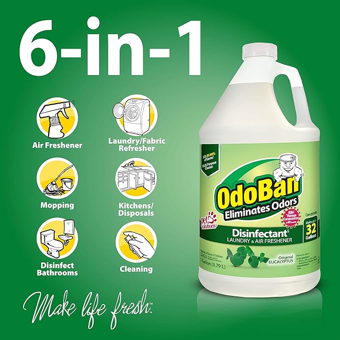 OdoBan Ready-to-Use Disinfectant and Odor Eliminator, Made in the USA, Original Eucalyptus Scent, Set of 3, 2 Spray Bottles, 32 Ounces Each and 1 Gallon Concentrate