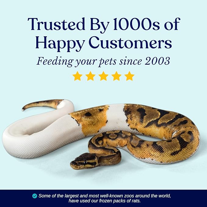 Frozen Large Adult Feeder Mice Food for Adult Ball Pythons Juvenile Red Tale Boa Monitors Lizards (20 Count)