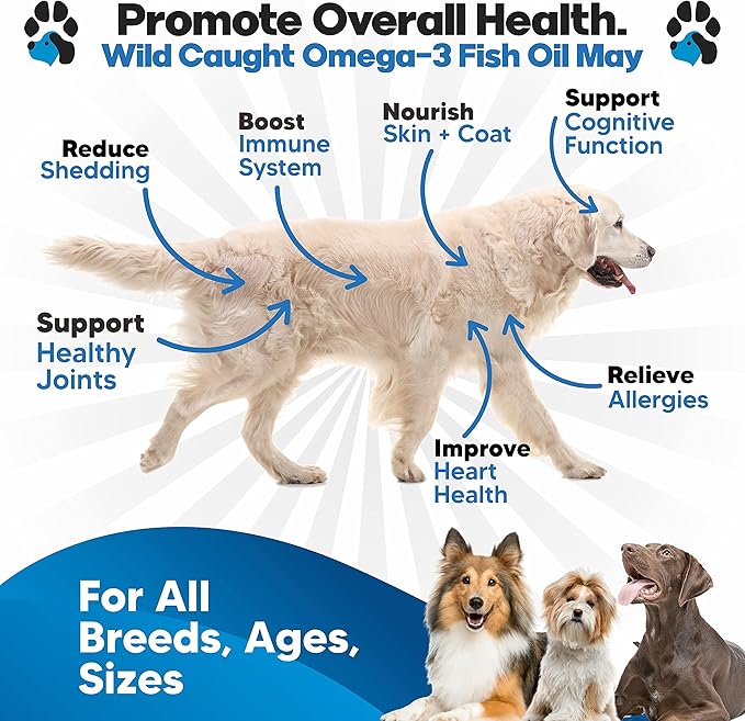 Omega 3 Fish Oil for Dogs - Better Than Salmon Oil for Dogs - Dog Fish Oil Supplement - Reduce Shedding & Itching - Supports Joints, Brain, Heart Health- Dog Skin and Coat Supplement - Fish Oil Liquid