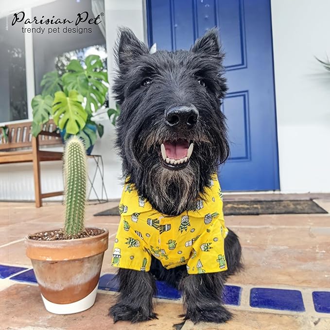 Parisian Pet Cactus Cap Dog Beach Outfit - 100% Cotton Summer Clothes - Stylish Dog Costume - Breathable, Cool & Machine Washable - 2XL