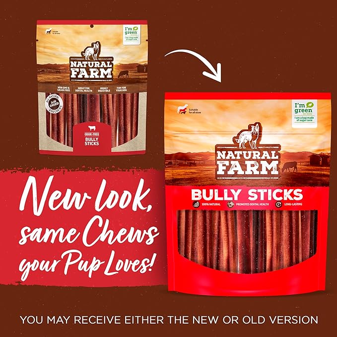 Natural Farm Odor-Free Thin Bully Sticks (4”, 24-Pack) All-Natural Long-Lasting Dog Chews, 100% Beef Pizzle, Grass-Fed, Grain-Free, Protein for Muscle Development & Energy, Perfect for Small Dogs