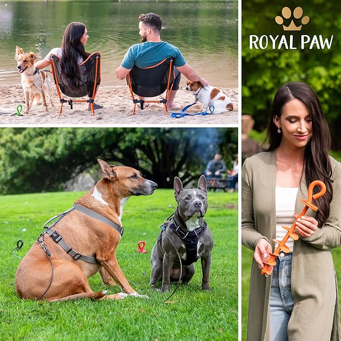ROYAL-PAW Dog Tie Out Stake - for Large Dogs up to 210 lbs - Heavy Duty Dog Stake for Yard, Beach & Camping Outside - Best in Ground Anchor for a Dog Cable, Leash, Lead Tether (1, Orange)